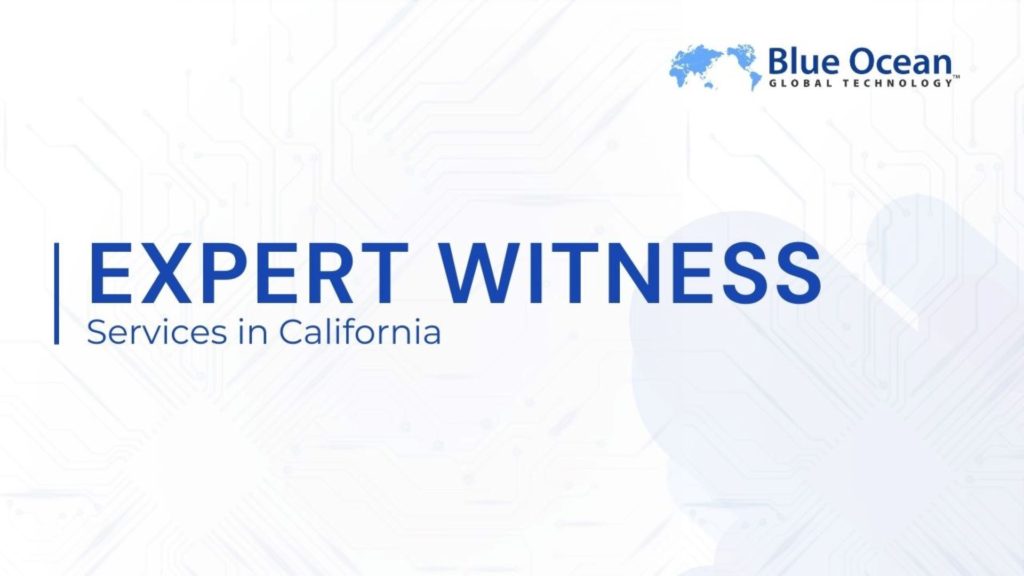 EXPERT WITNESS-Services in California