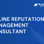 Online Reputation Management Consultant