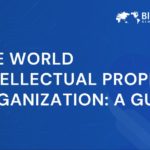 Understanding the World Intellectual Property Organization