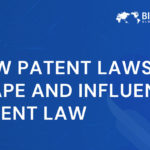 The Impact of Patent Lawsuits on Modern Patent Law