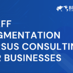 staff augmentation vs consulting