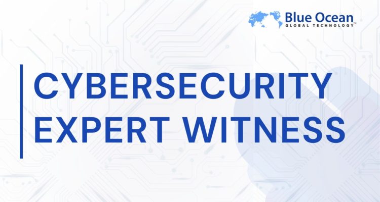 Cybersecurity Expert Witness