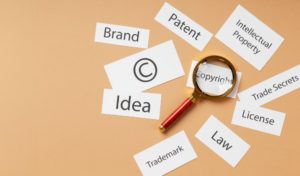 Intellectual Property Rights are a bunch of rights including patents, trademark, etc. 